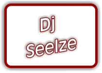 dj seelze