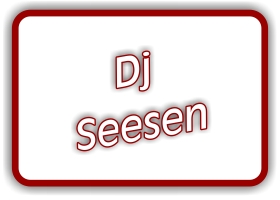 dj-seesen