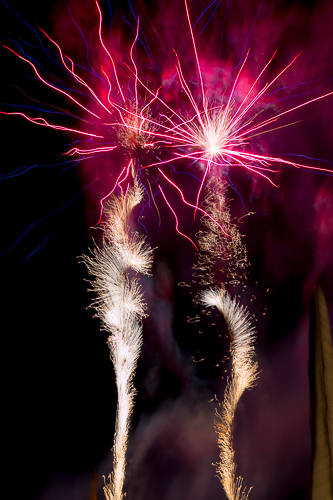 eventfotografie in delmenhorst