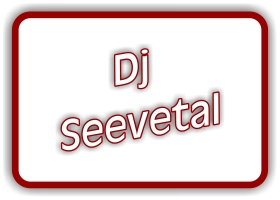 dj seevetal